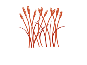 Monochromatic red bullrushes. Designed by Hetxw’ms Gyetxw (Brett D. Huson).